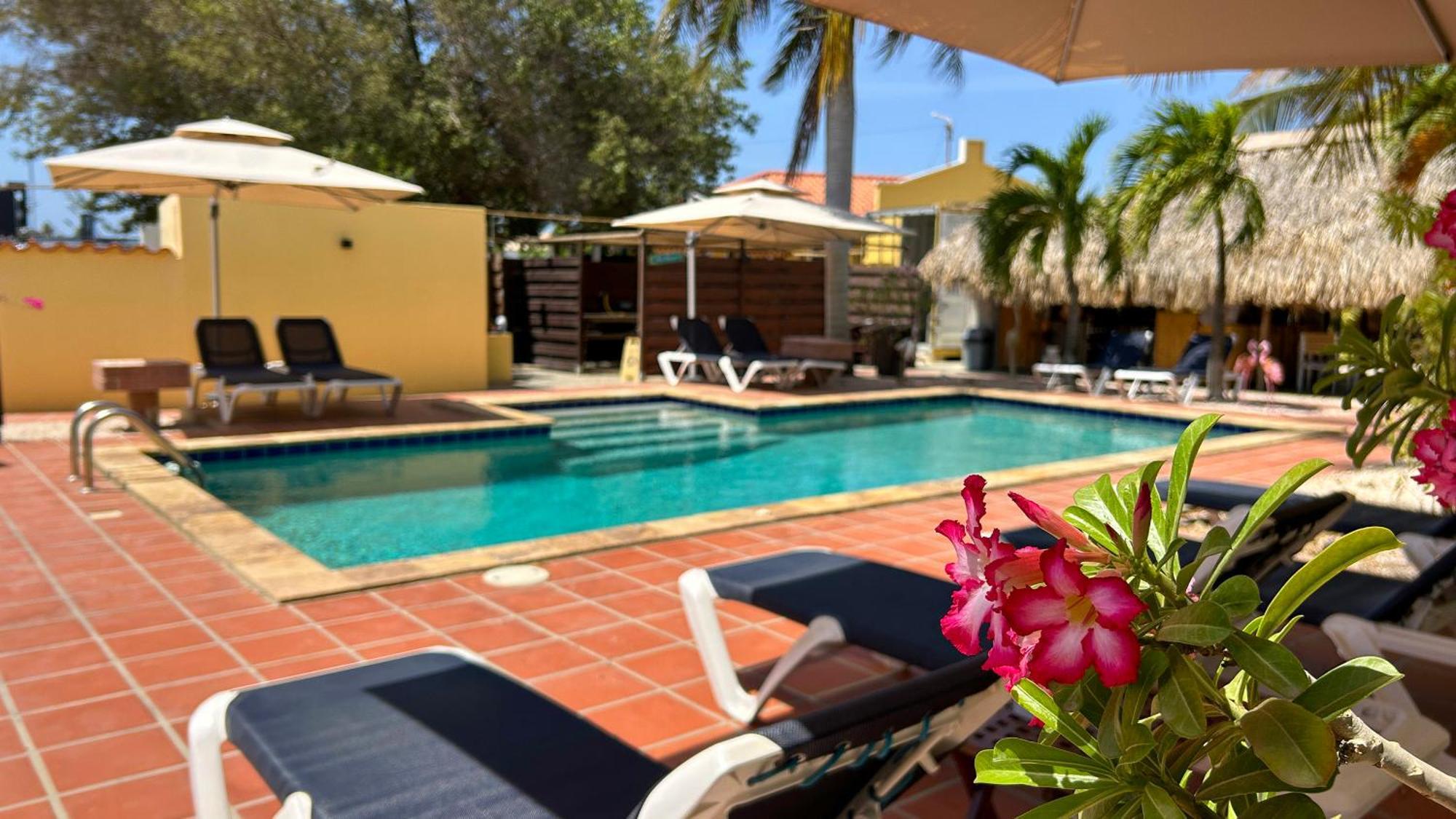 Sonrisa Boutique Hotel - Adults Only Kralendijk  Ngoại thất bức ảnh